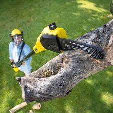 Best Arborist Consultation Services  in Fort Ashby, WV